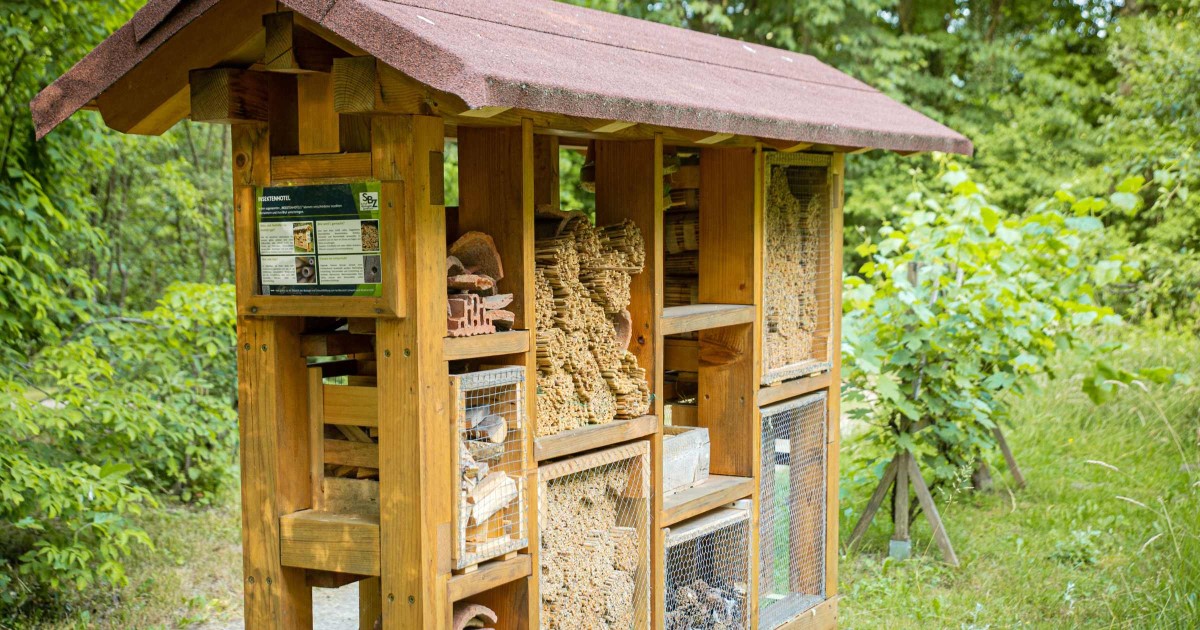 Botanischer Garten Salzburg - Insektenhotel © Silja Parke - Wilde Möhre Blog